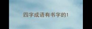 四字成语有书字的