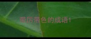 带厉带色的成语