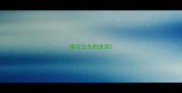 描写白色的成语