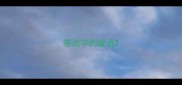 带点字的成语