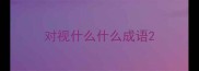 对视什么什么成语