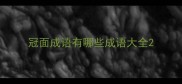 冠面成语有哪些成语大全