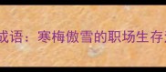 第四个被低估的成语寒梅傲雪的职场生存法则与人生智慧