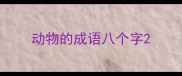 动物的成语八个字