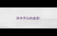 田字开头的成语