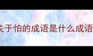 关于怕的成语是什么成语