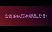 含盲的成语有哪些成语