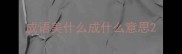 成语美什么成什么意思