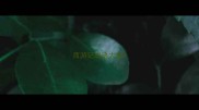 西游记成语大全