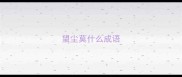 望尘莫什么成语