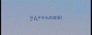 什么干什么的成语