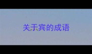 关于宾的成语