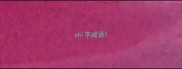 shi字成语