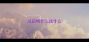 成语明什么诚什么