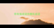 带有谁成语有哪些成语