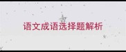 语文成语选择题解析