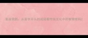 面面俱到从面字开头的成语看传统文化中的智慧密码