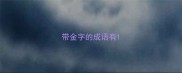 带金字的成语有