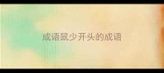 成语鼠少开头的成语