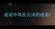 成语中有反义词的成语
