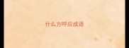 什么方呼应成语