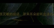 10个耳朵很灵敏的成语原来耳朵能听出这么多门道