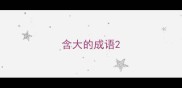 含大的成语