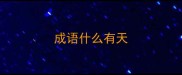 成语什么有天