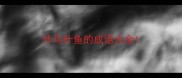 什鸟什鱼的成语大全
