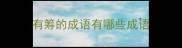 有筹的成语有哪些成语