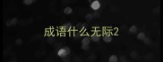成语什么无际