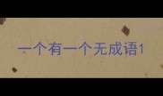 一个有一个无成语