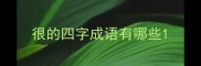 很的四字成语有哪些