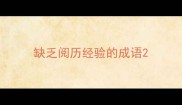 缺乏阅历经验的成语