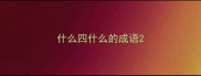 什么四什么的成语