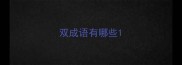 双成语有哪些