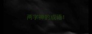 两字神的成语
