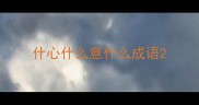 什心什么意什么成语
