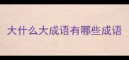 大什么大成语有哪些成语