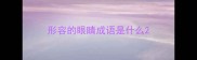 形容的眼睛成语是什么