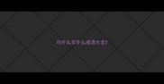 鸟什么羊什么成语大全