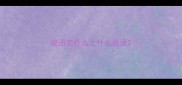 成语它什么之什么成语