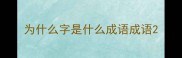为什么字是什么成语成语