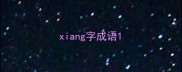 xiang字成语