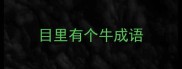 目里有个牛成语