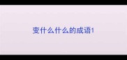 变什么什么的成语