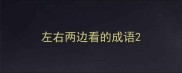左右两边看的成语