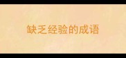 缺乏经验的成语