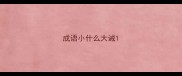 成语小什么大诫