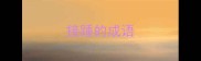 接踵的成语